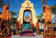 Halloween 2026, Movieland si trasforma in un grande film horror: zombie, nuove attrazioni, spettacoli e una notte da brividi
